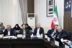 یکصد و بیست و پنجمین نشست شورای گفتگوی دولت و بخش خصوصی استان