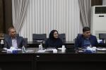 کارگروه شورای گفتگوی دولت و بخش خصوصی استان با محوریت « بررسی و ارائه راهکارهای عملیاتی جهت رفع موانع و چالش‌های موجود در مسیر واگذاری شرکت‌های مشمول فهرست واگذاری استان آذربایجان شرقی » 